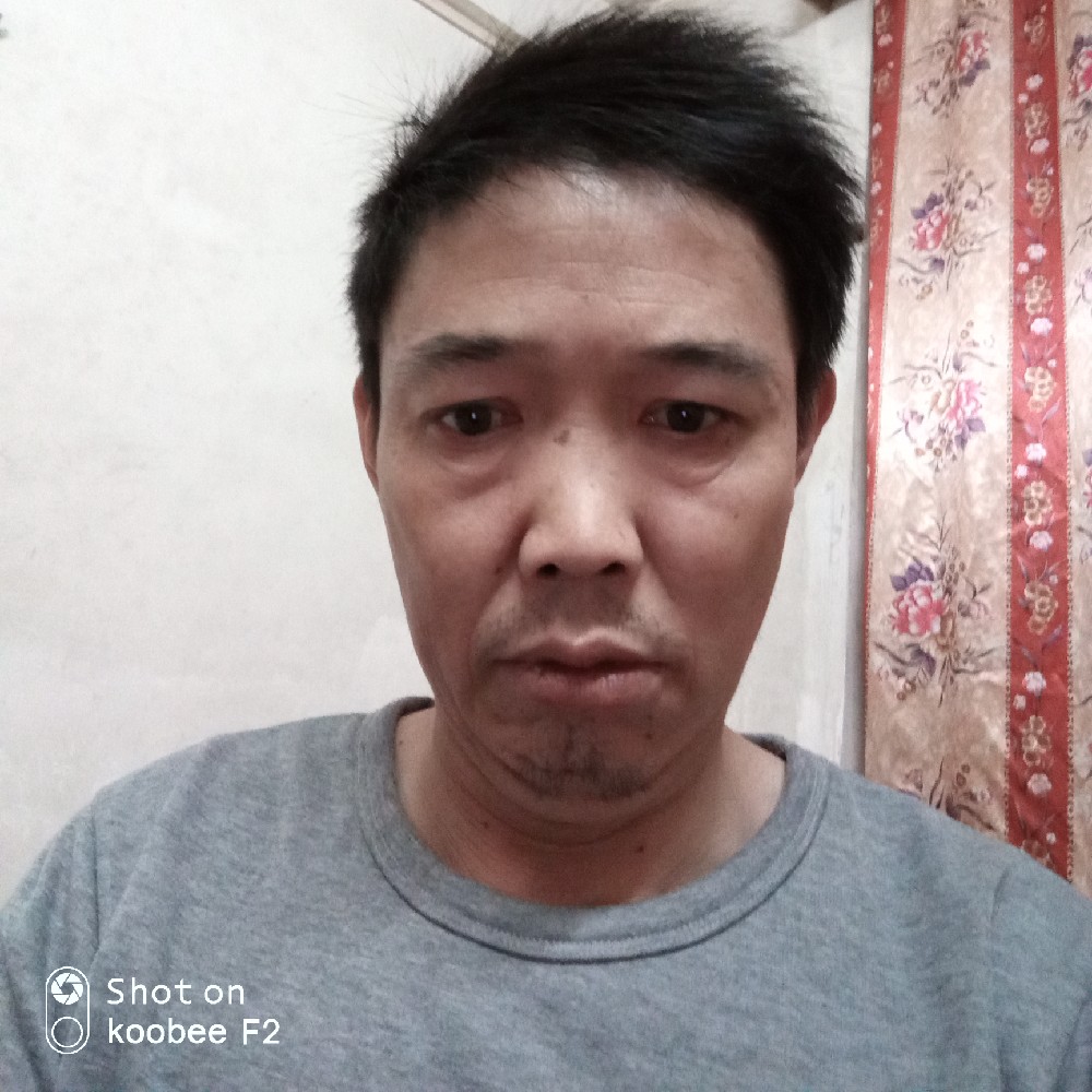 炙热狗的照片