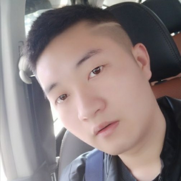 传统凝眸刺猬的照片