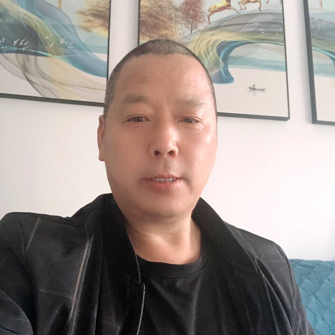 精明用黑猫的照片