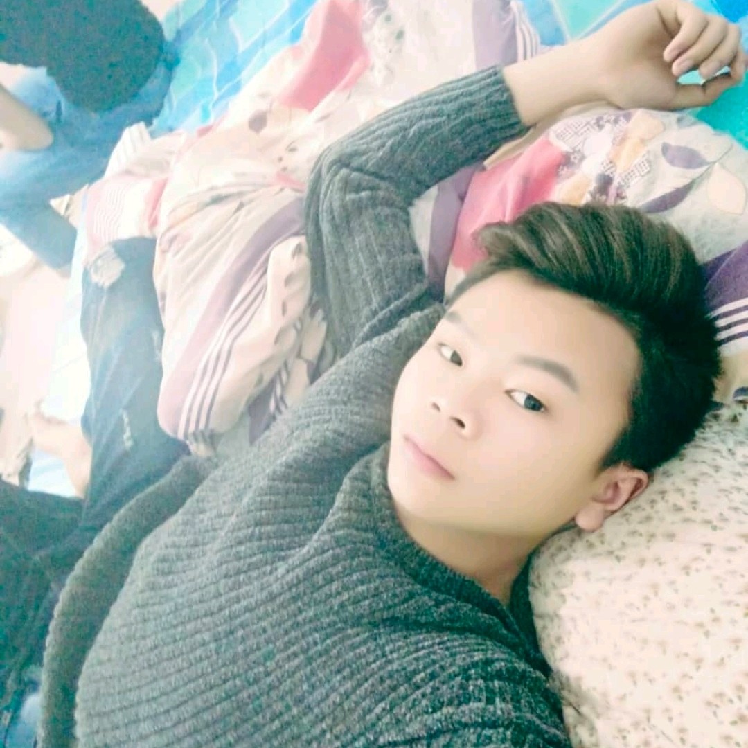 开放倾心乌龟的照片