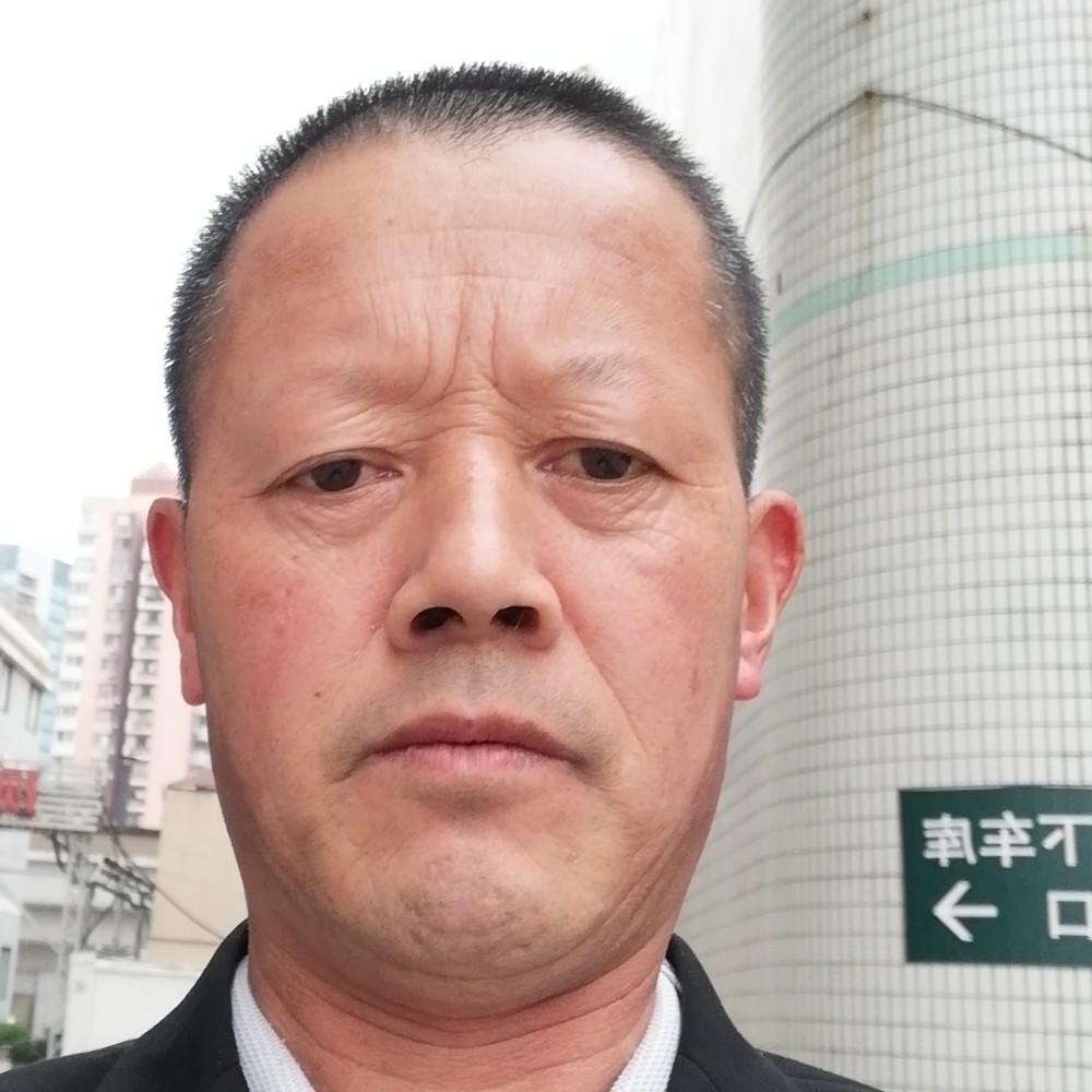 西牛迷人的照片