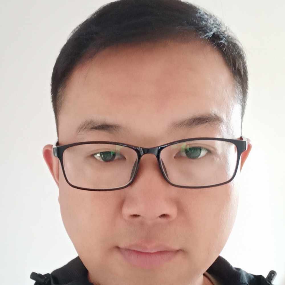 鞋垫漫步俊逸的照片