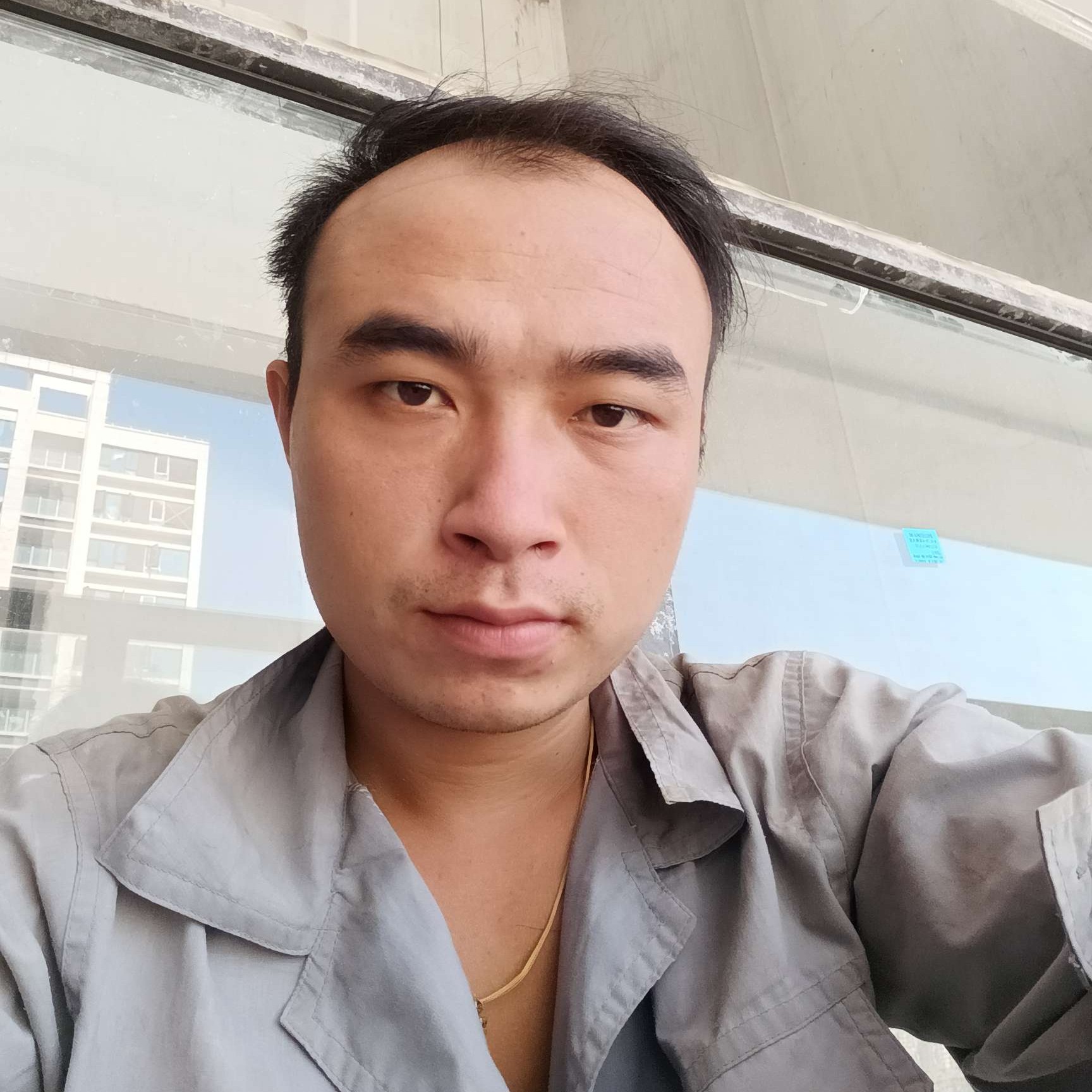 拾忆含羞草的照片
