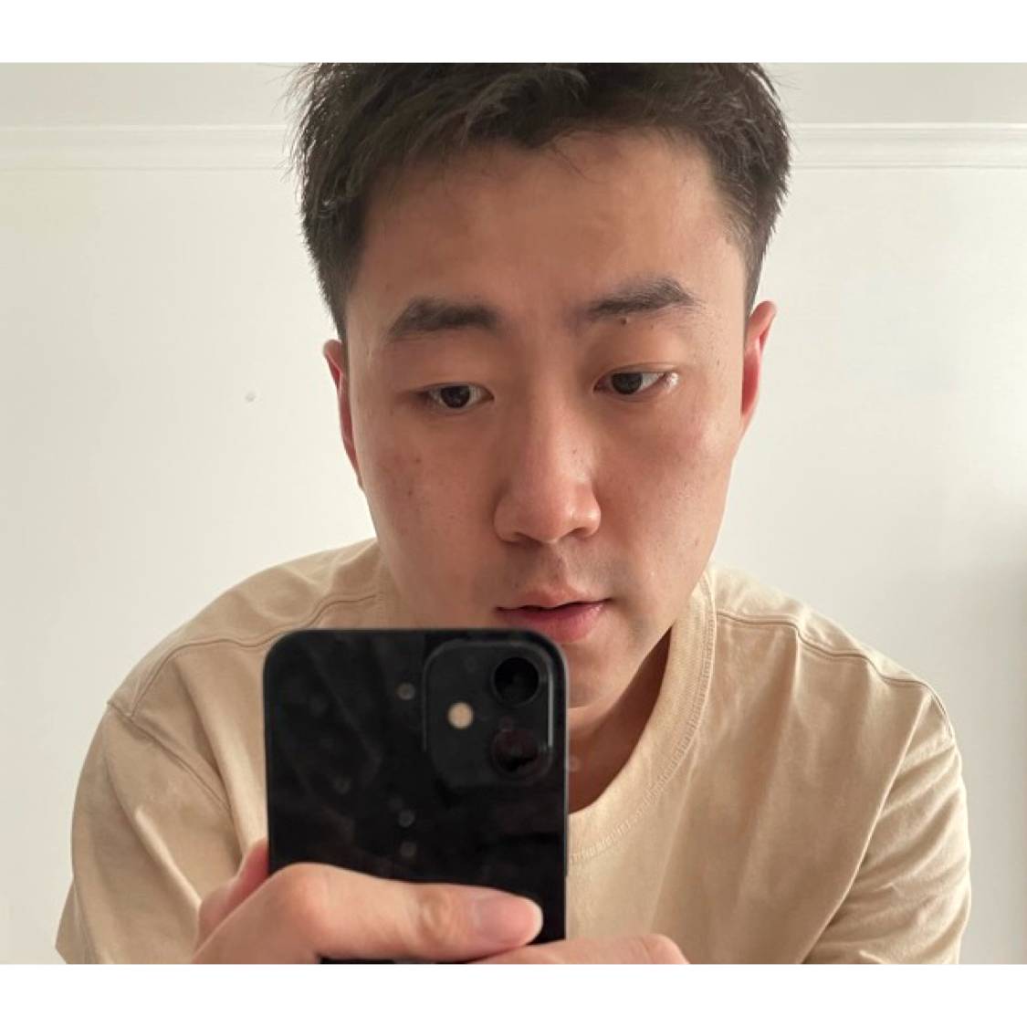 白褶的照片