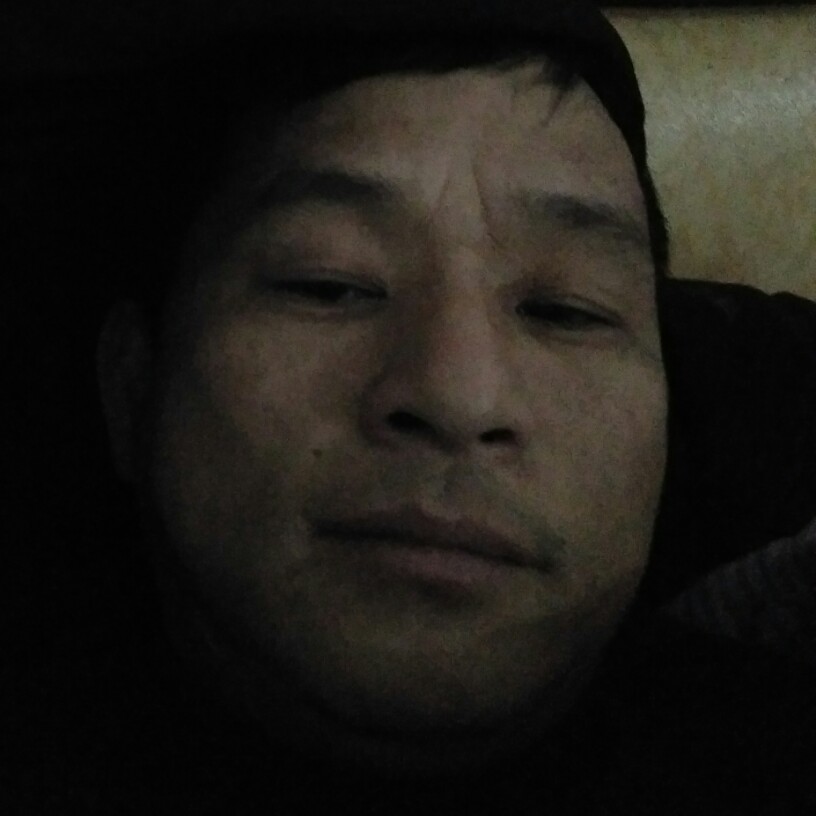 难过羊的照片