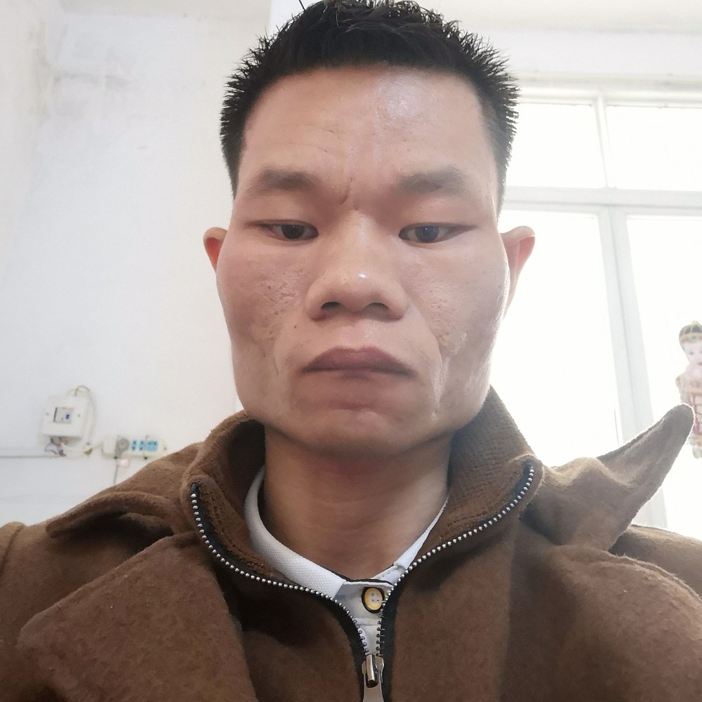 洋葱踢唯一的的照片