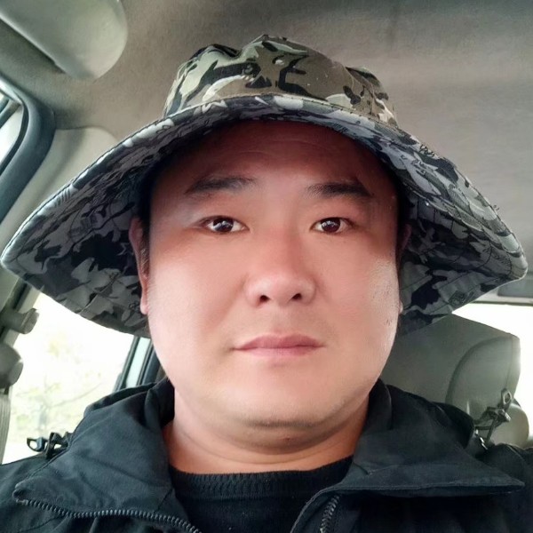 鹰隼鹰隼的照片
