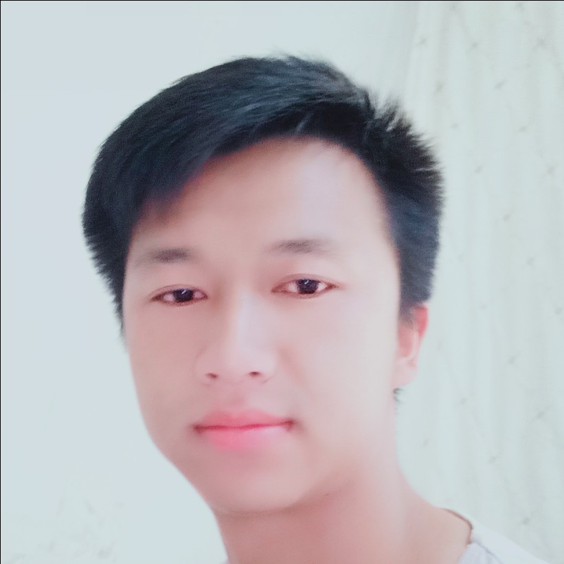 狗零碎的照片