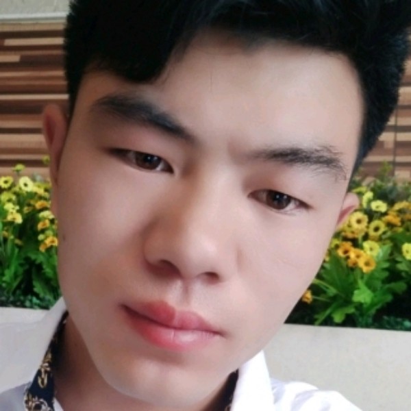 无奈倾心洋葱的照片
