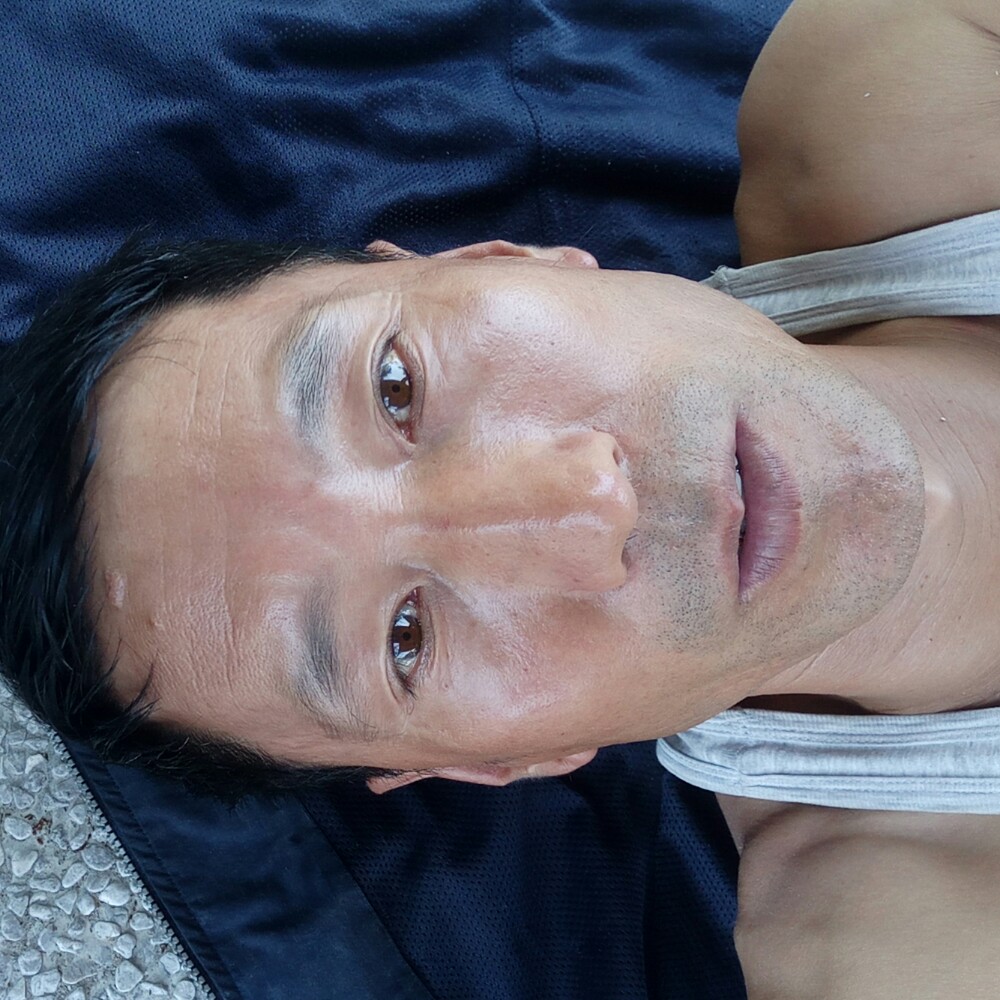 刺猬蹁跹大方的照片