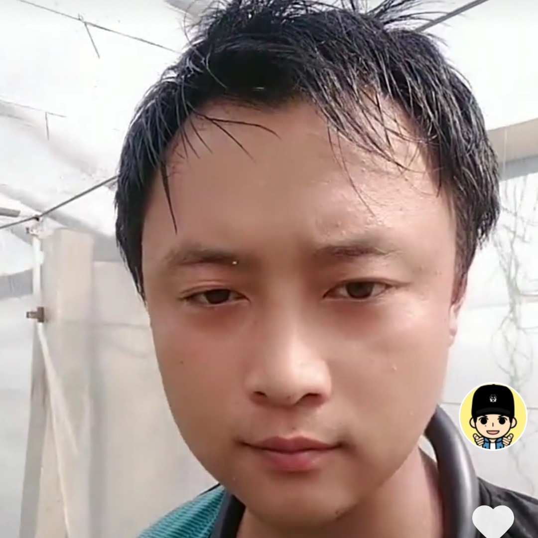 老鼠LOVE猫咪的照片