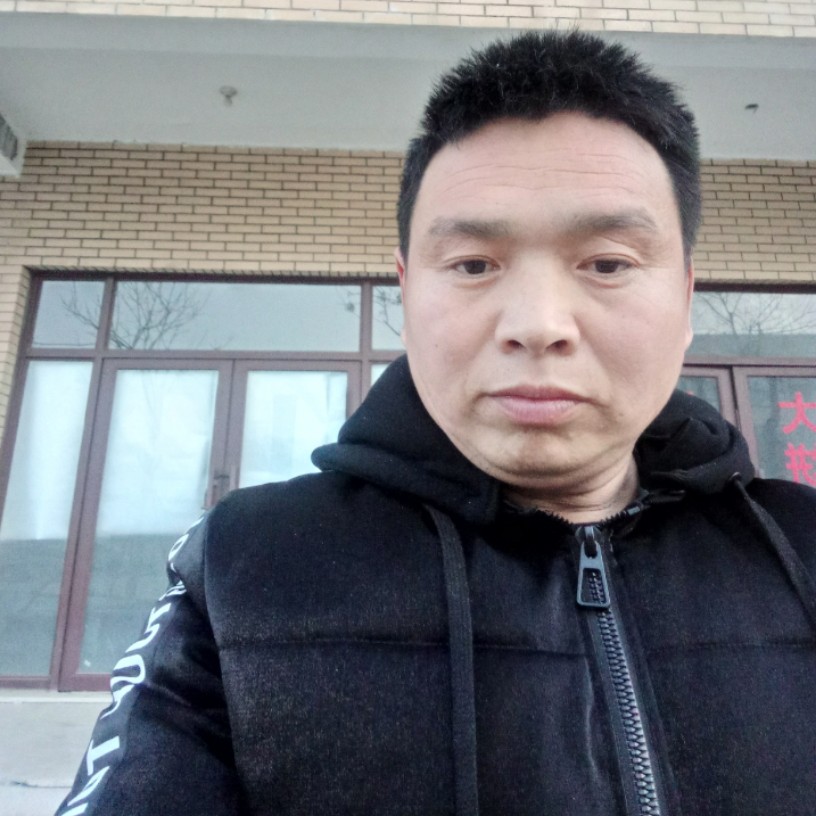 知性海燕的照片
