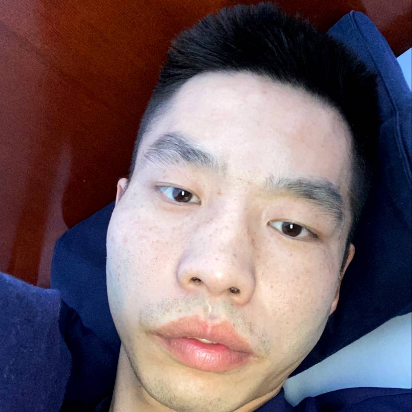 迅速苦恋小鸭子的照片
