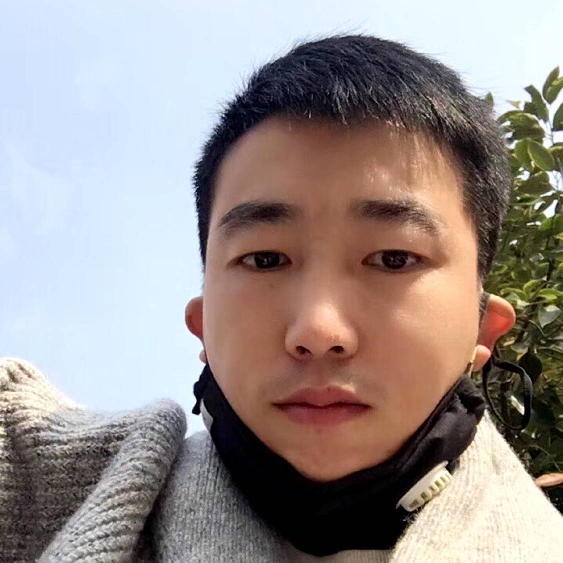 Yang的照片