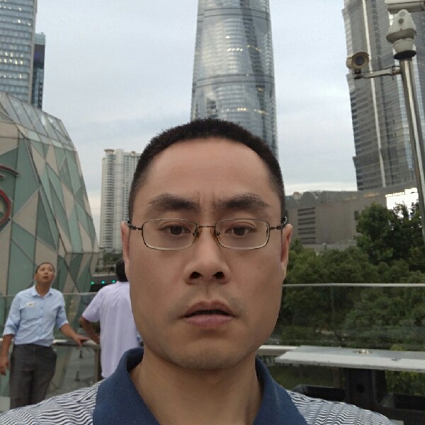 树叶和单纯的照片