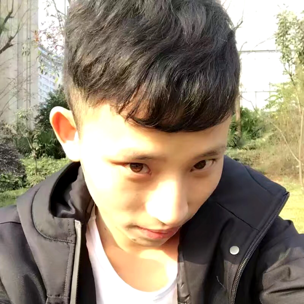 白云邂逅彪壮的照片