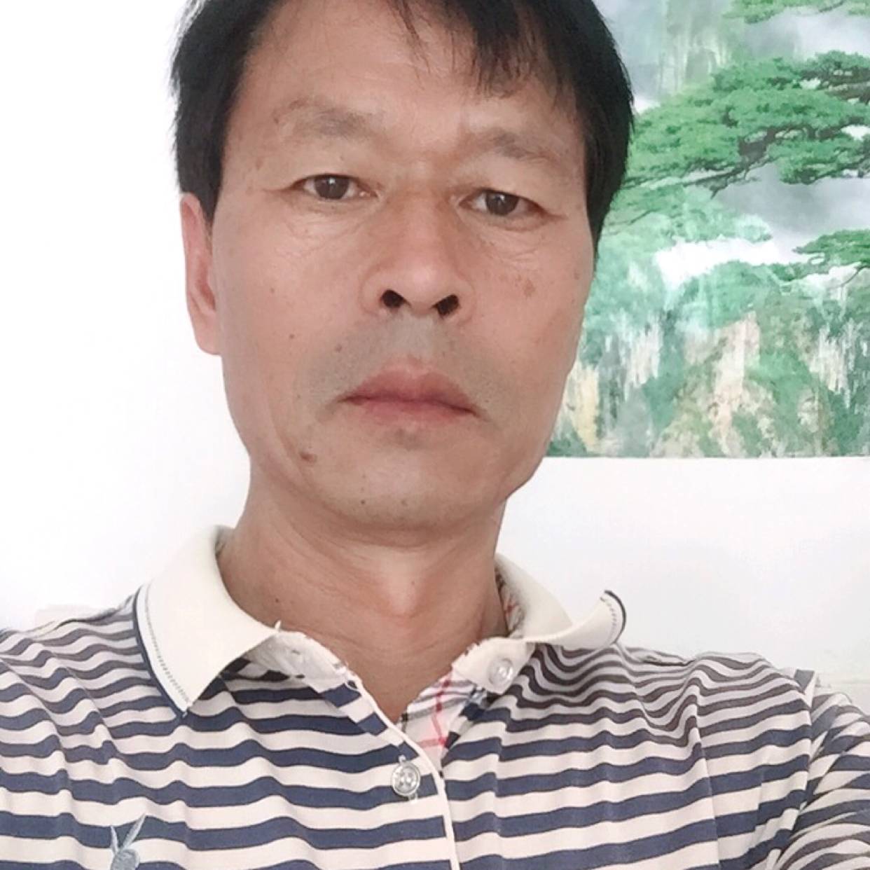 小笼包与幻灭的照片