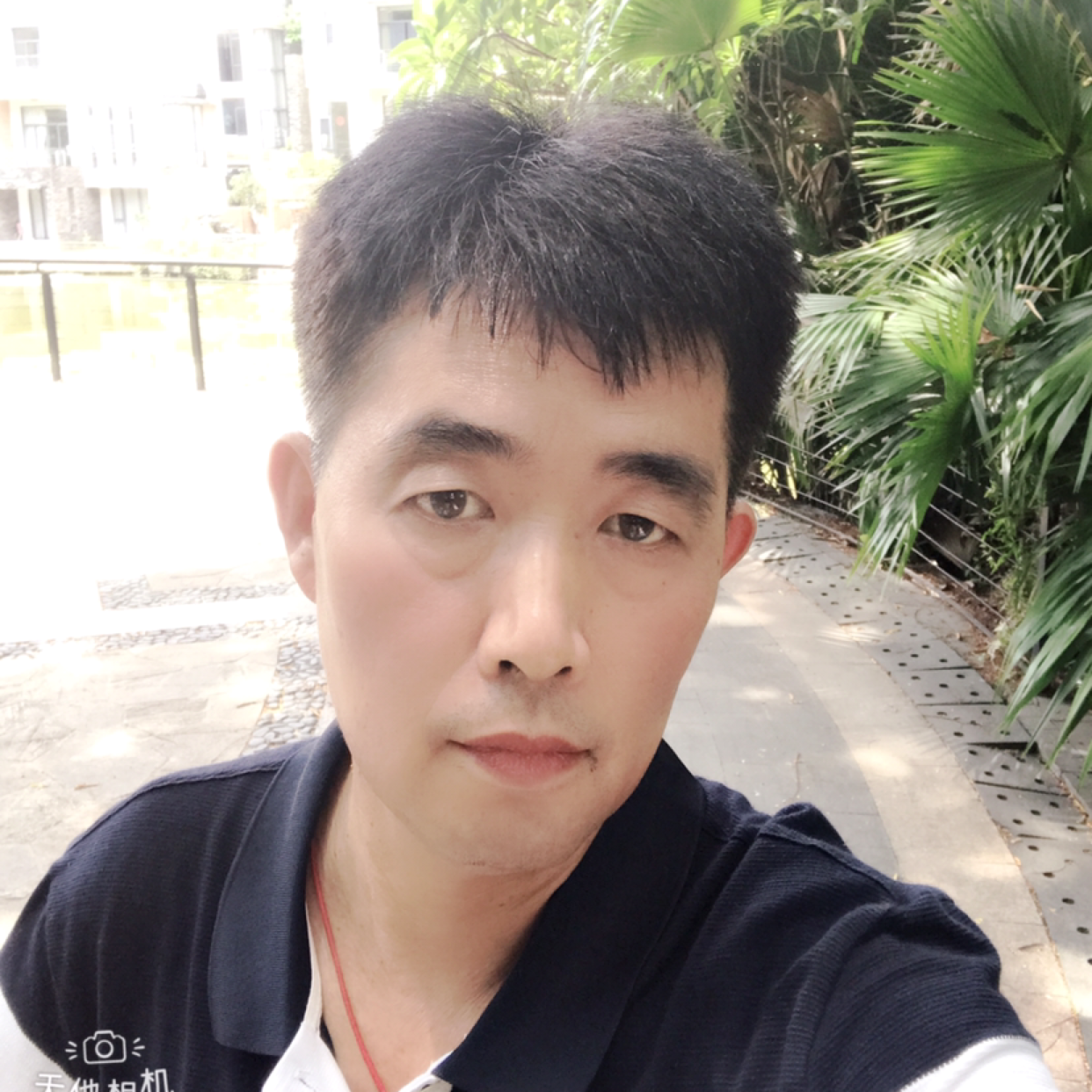 太阳的照片
