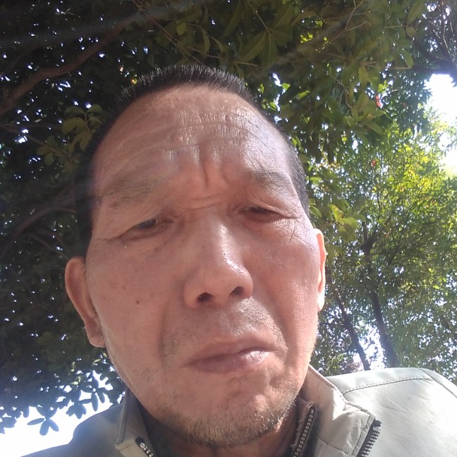 腼腆书本的照片