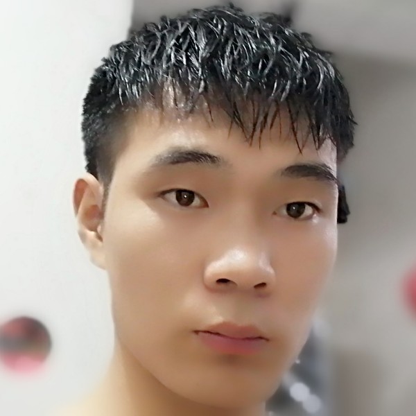 琵琶树下的少年的照片