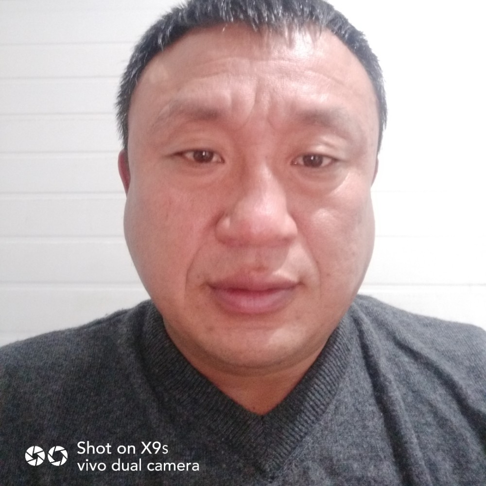 体贴含羞草的照片