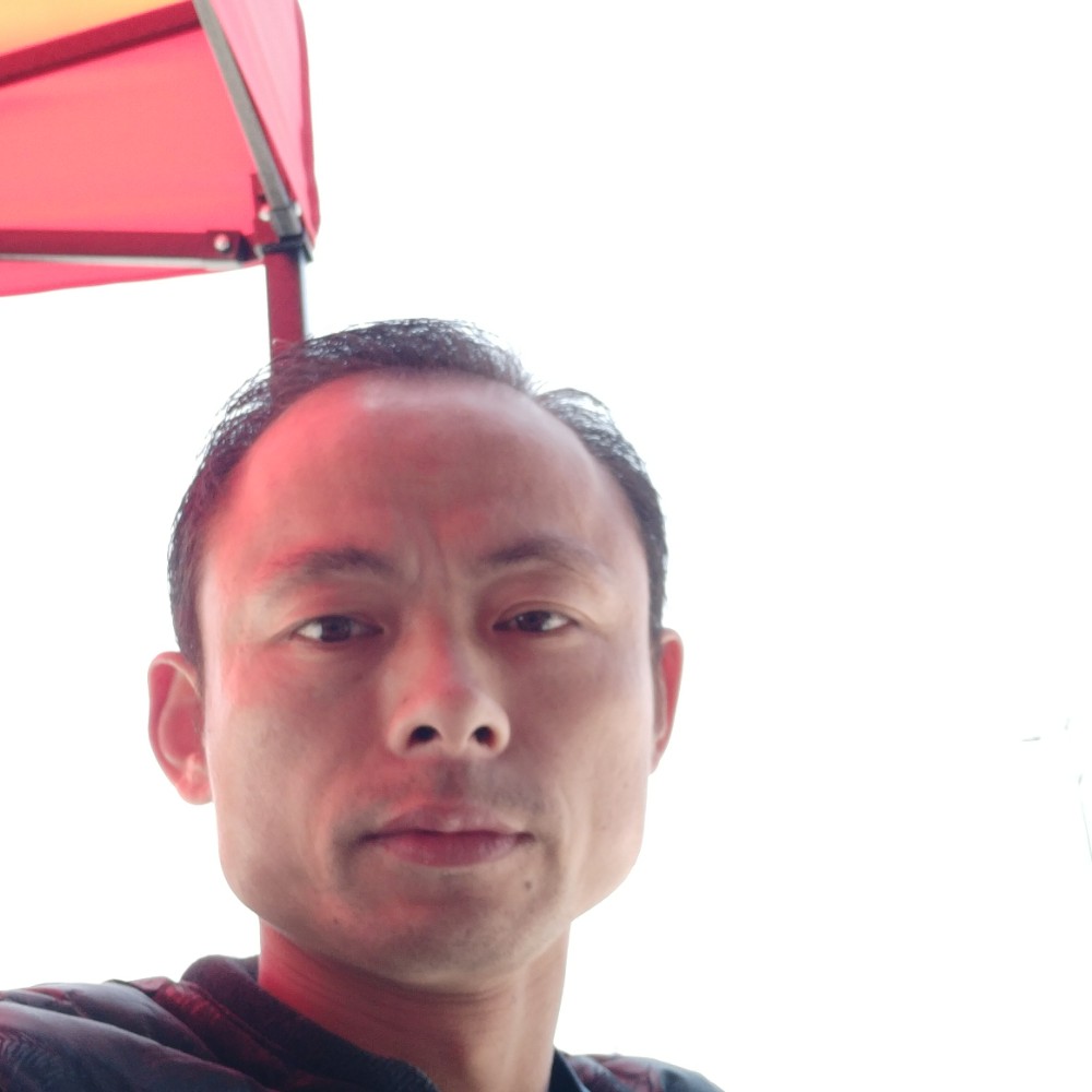 2518168的照片