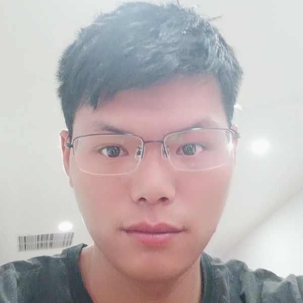玫瑰演变单纯的照片