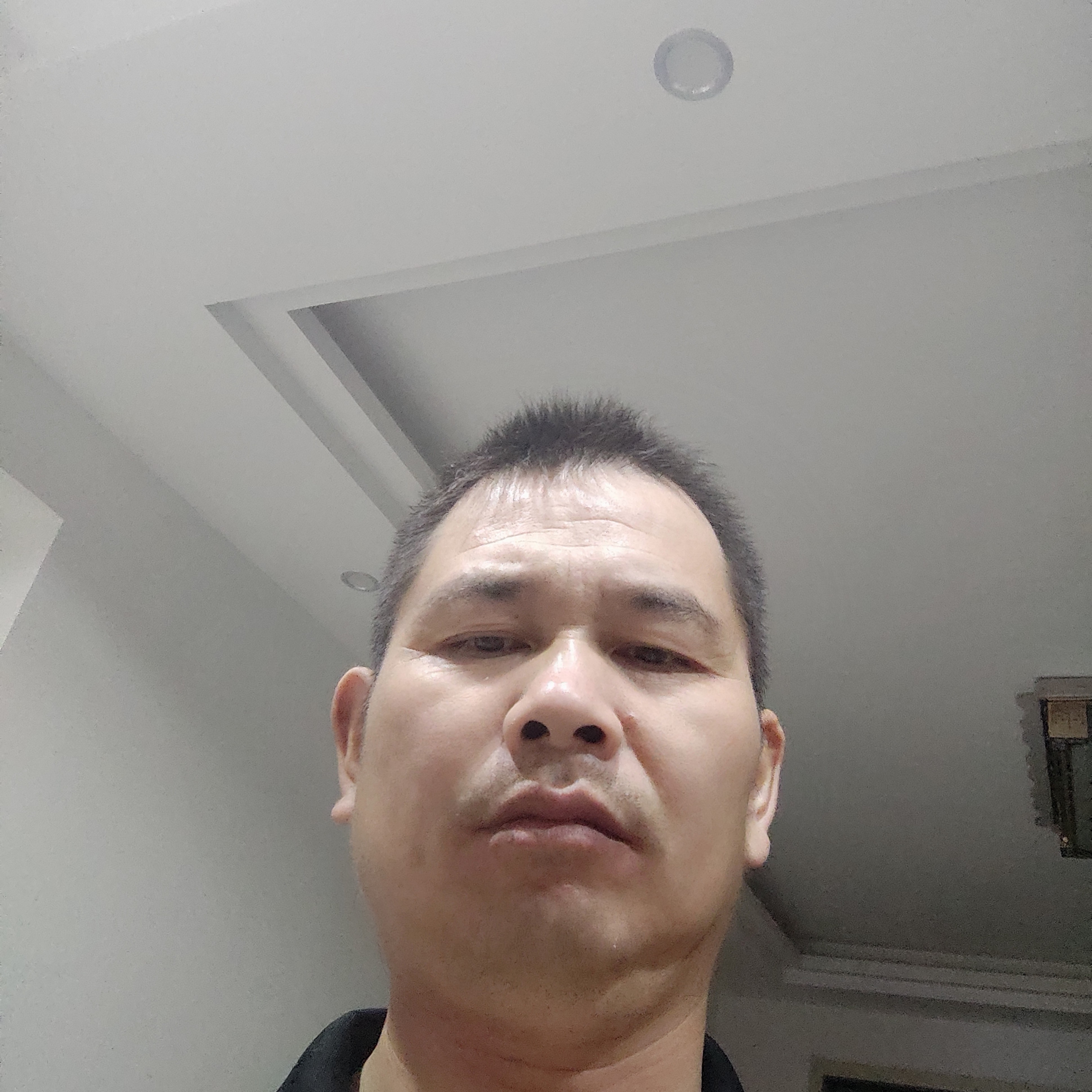 动人的大白的照片