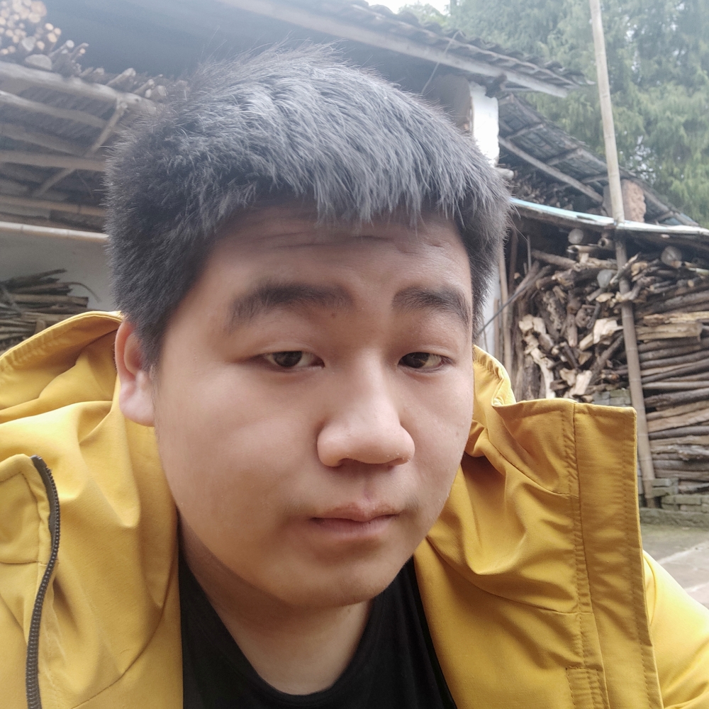 器的照片