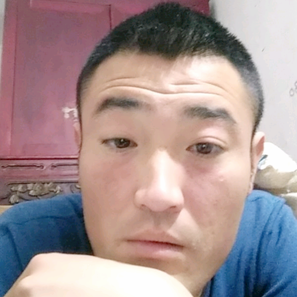 伤心的孤狼的照片