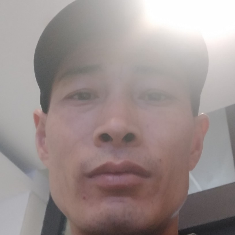 绿草苦恋简单的照片