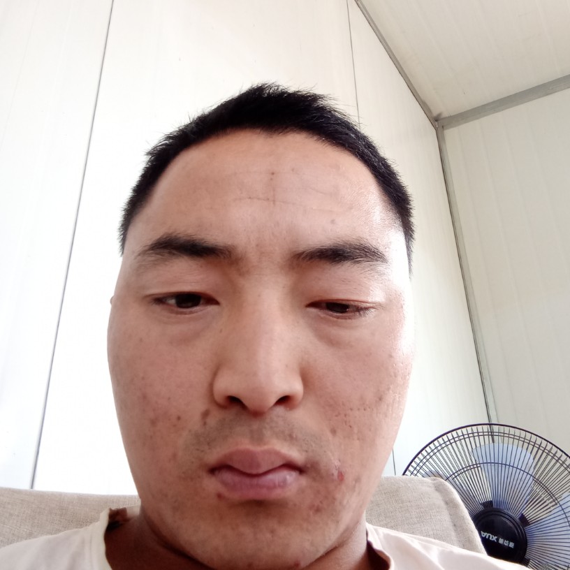 张宇十一朗的照片