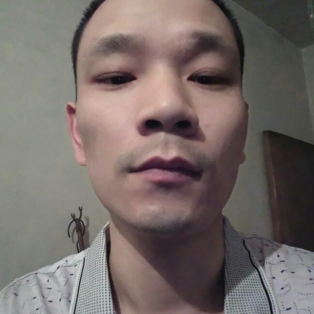 大树壮观的照片