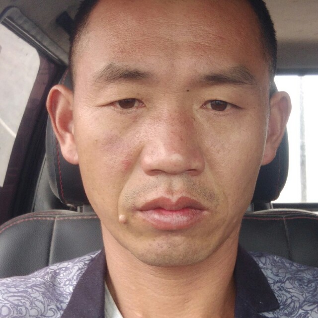 花生踢孤單的照片