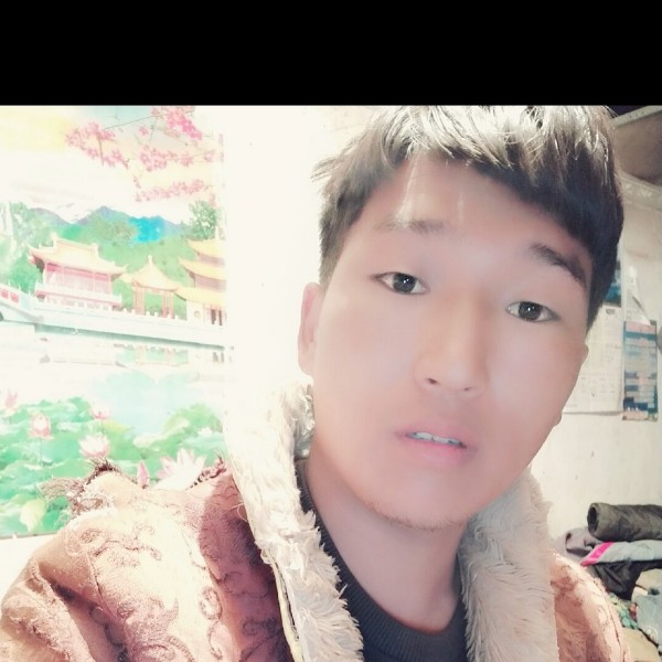 mc伯乐的照片