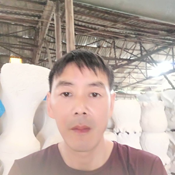 过时羽毛的照片