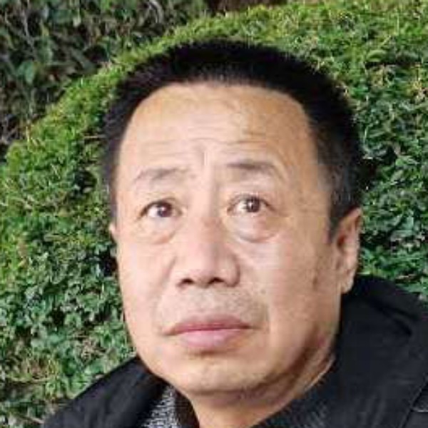 单纯蹁跹绿草的照片