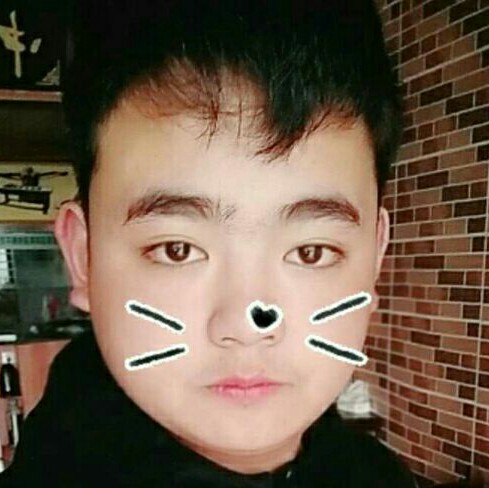 马的照片
