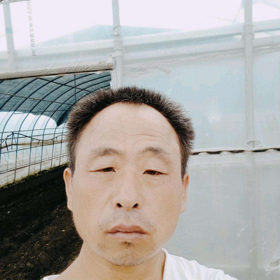 胡良彪的照片