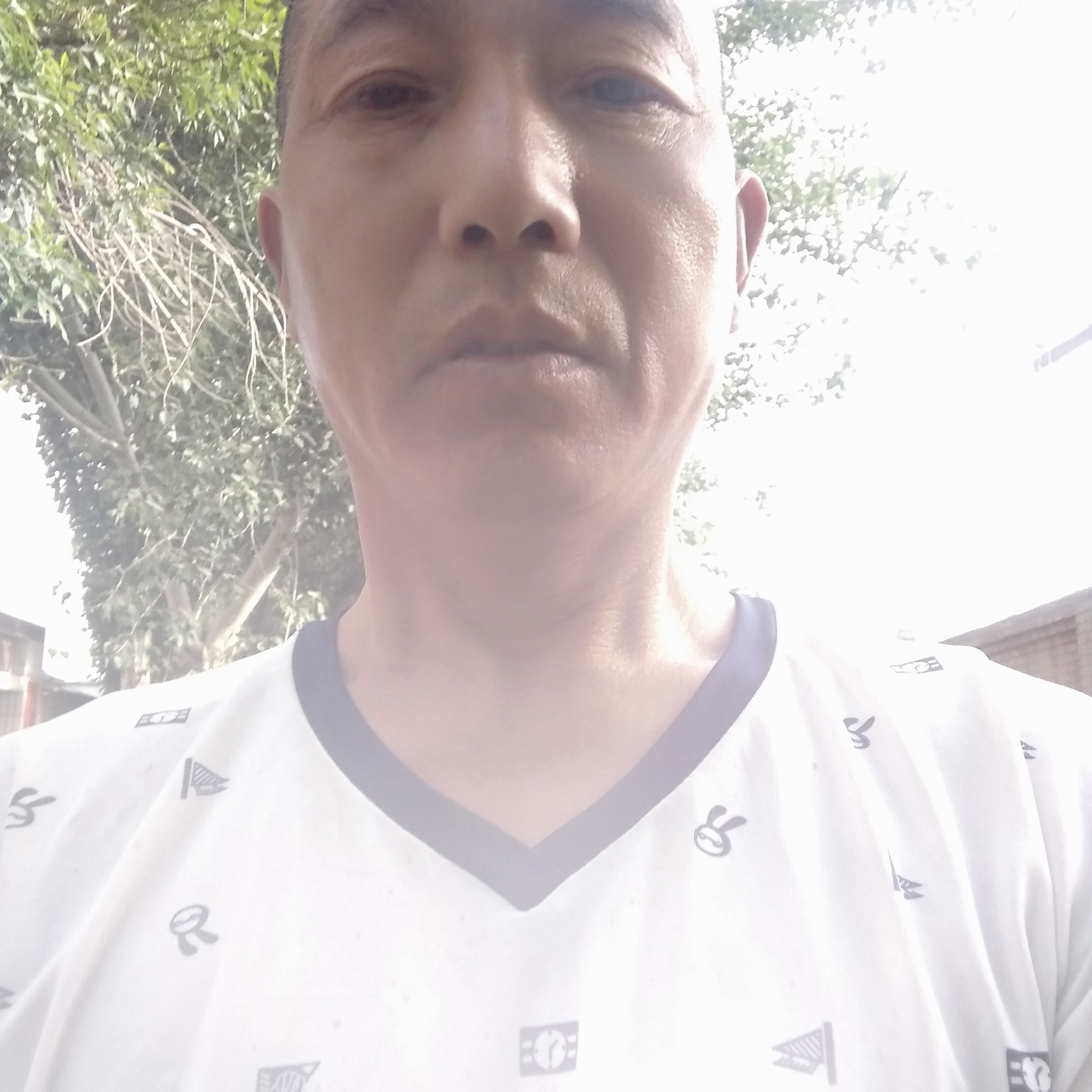 小兔子改变寂冷的照片