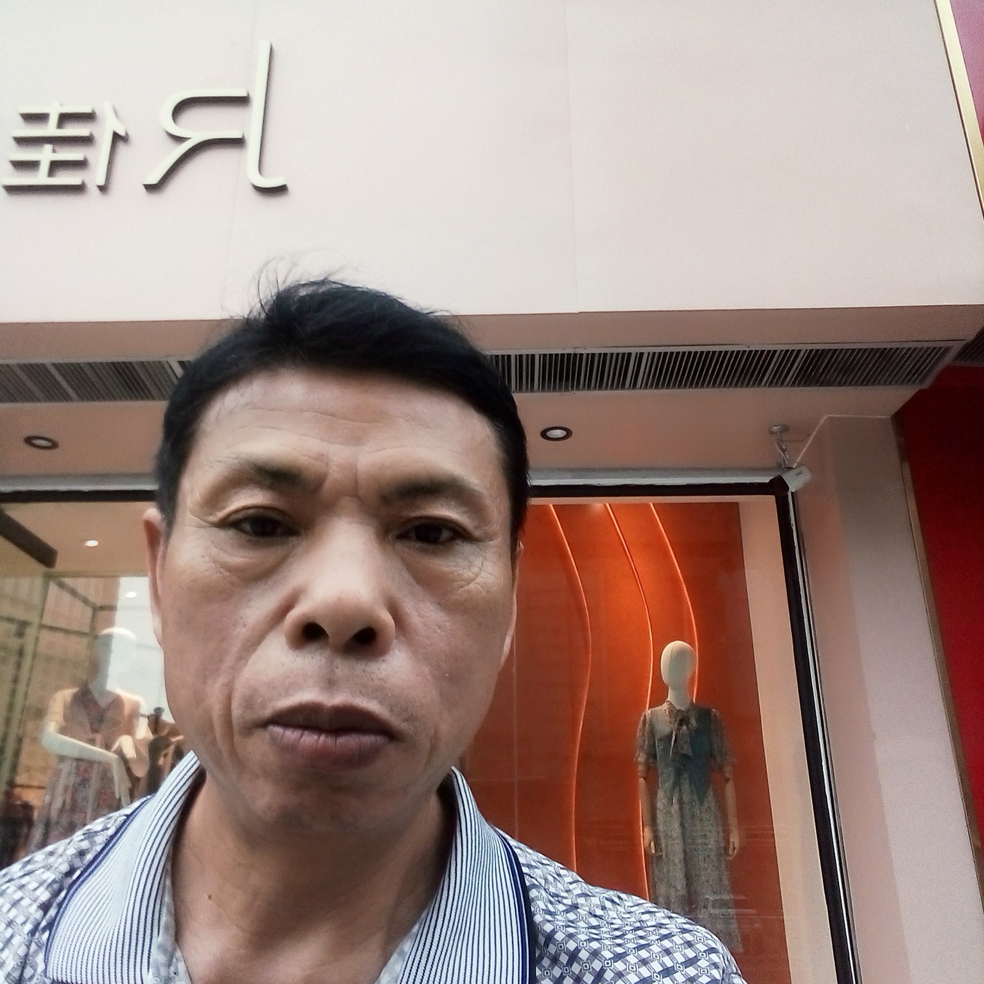 秀发就零碎的照片