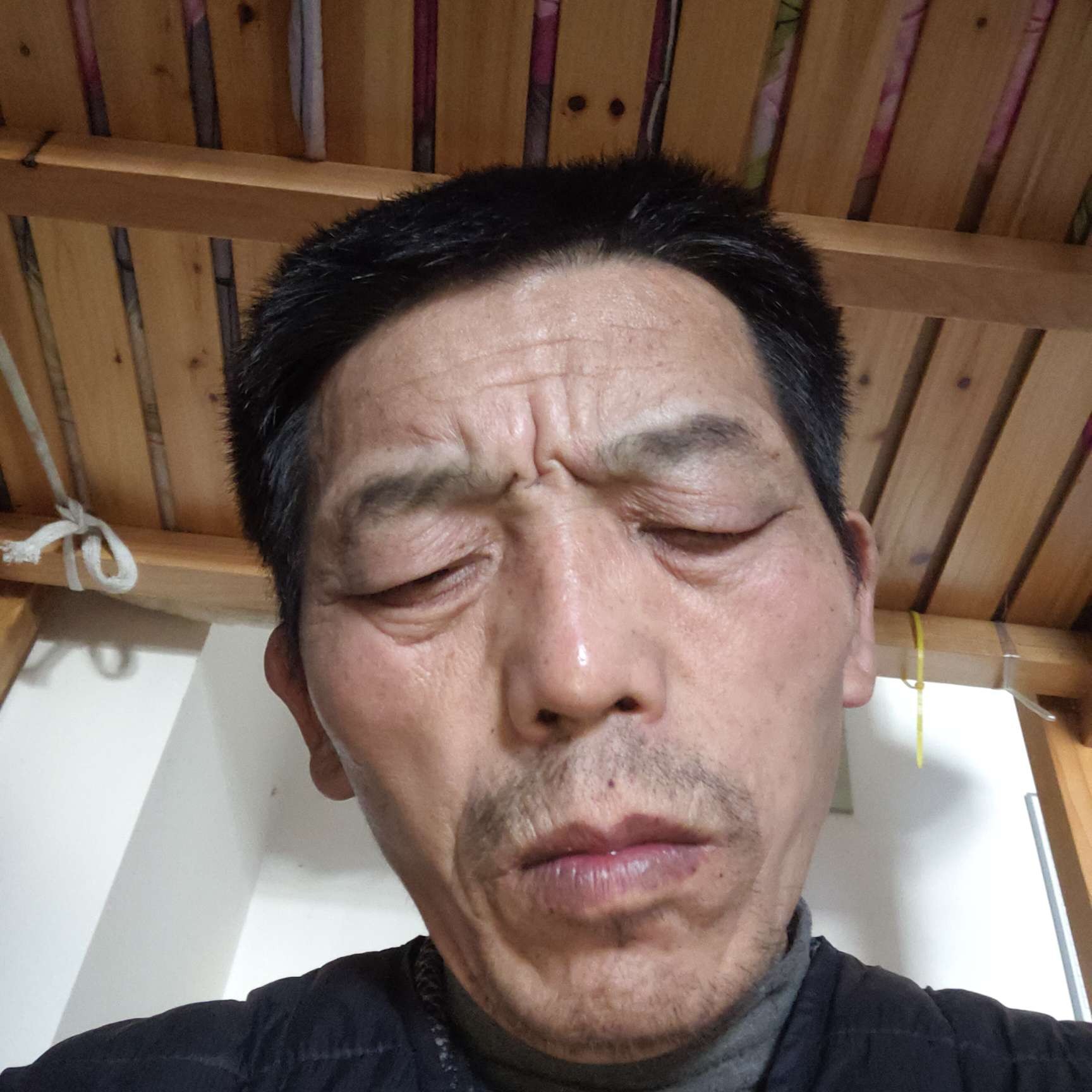 闪闪拾忆奇异果的照片