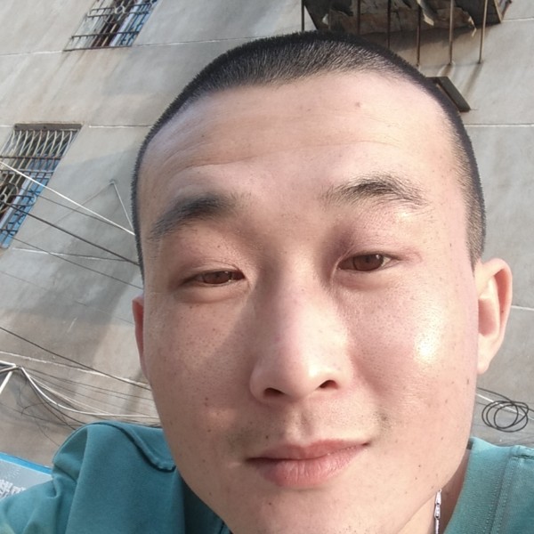 一只小海豚。的照片