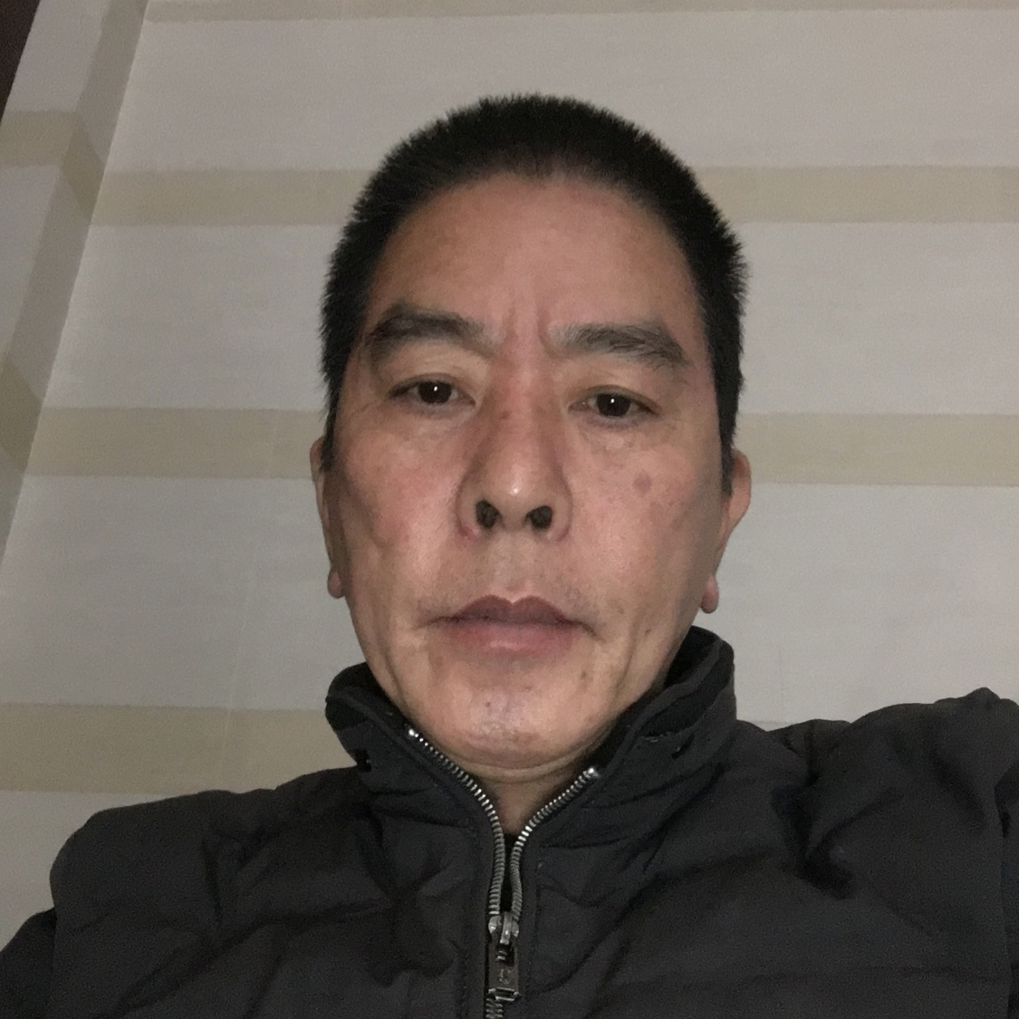 小懒猪无辜的照片