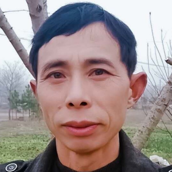 朴实的阳光的照片