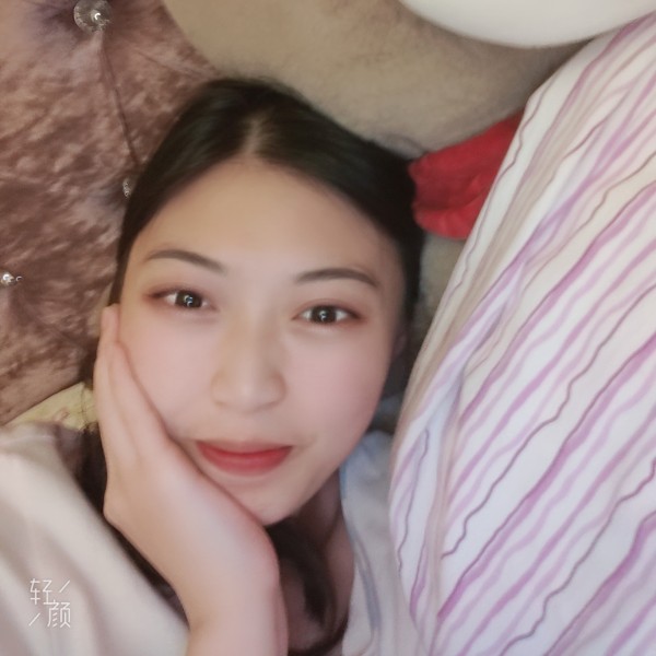 萤萤火虫的照片