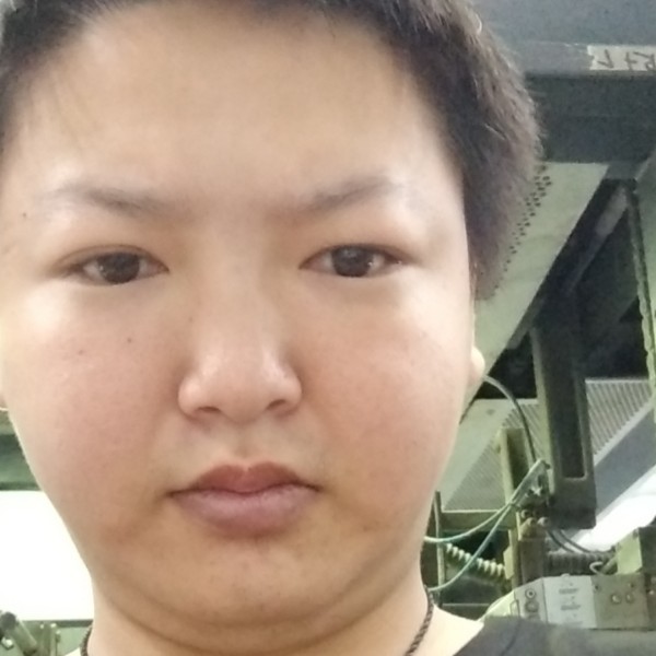 彩色爱小鸽子的照片