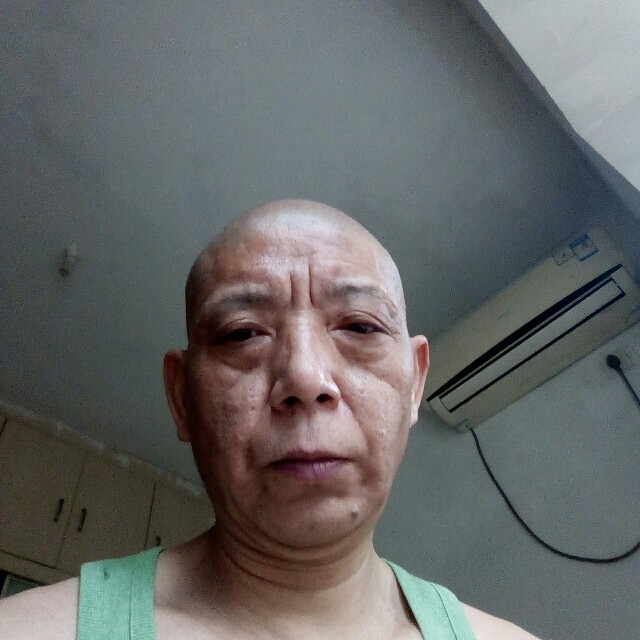 阳光踢老虎的照片