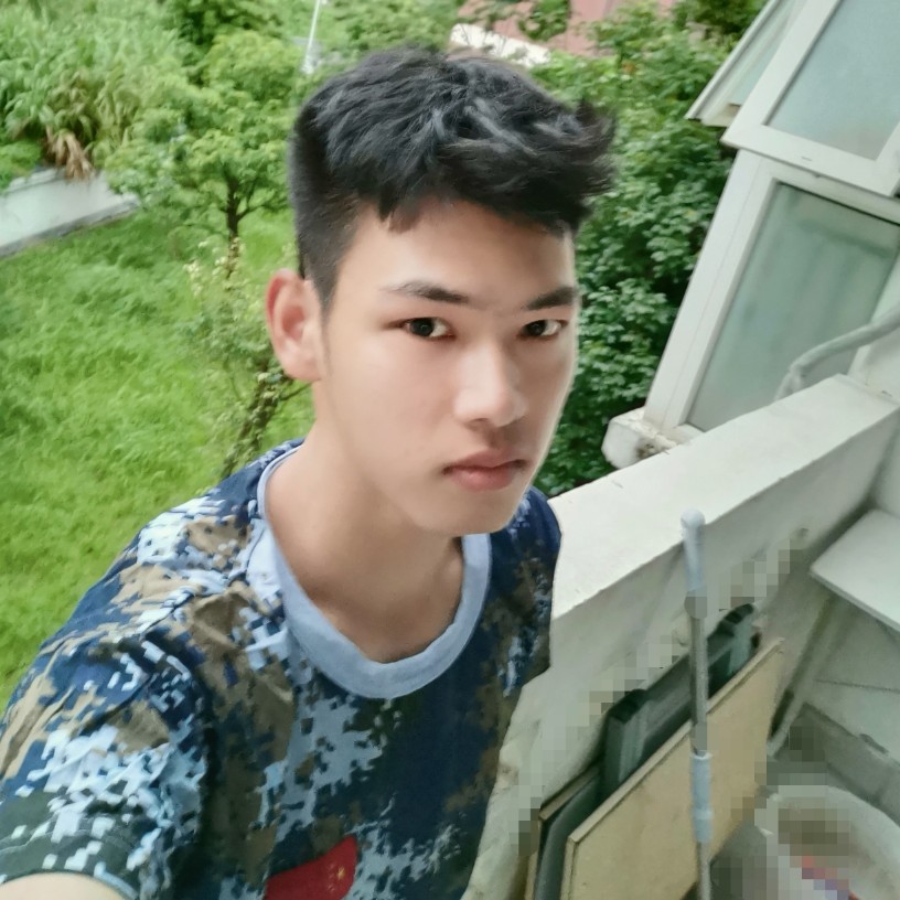渔村的弗兰人的照片