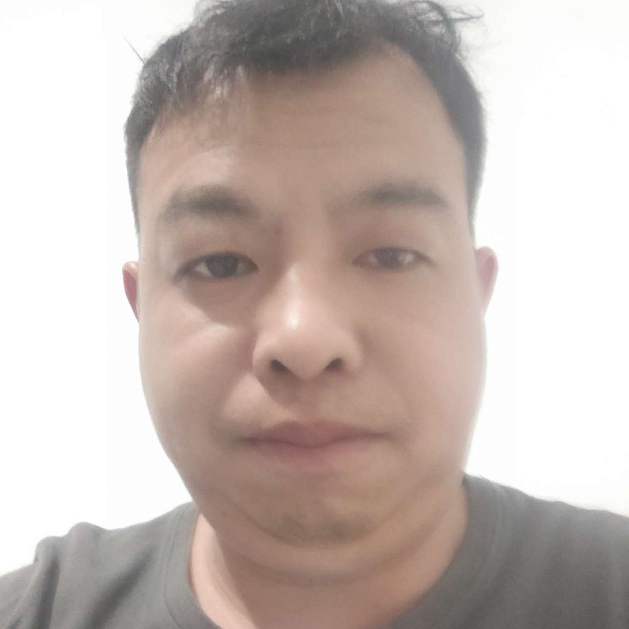 舒荷与沉静的照片